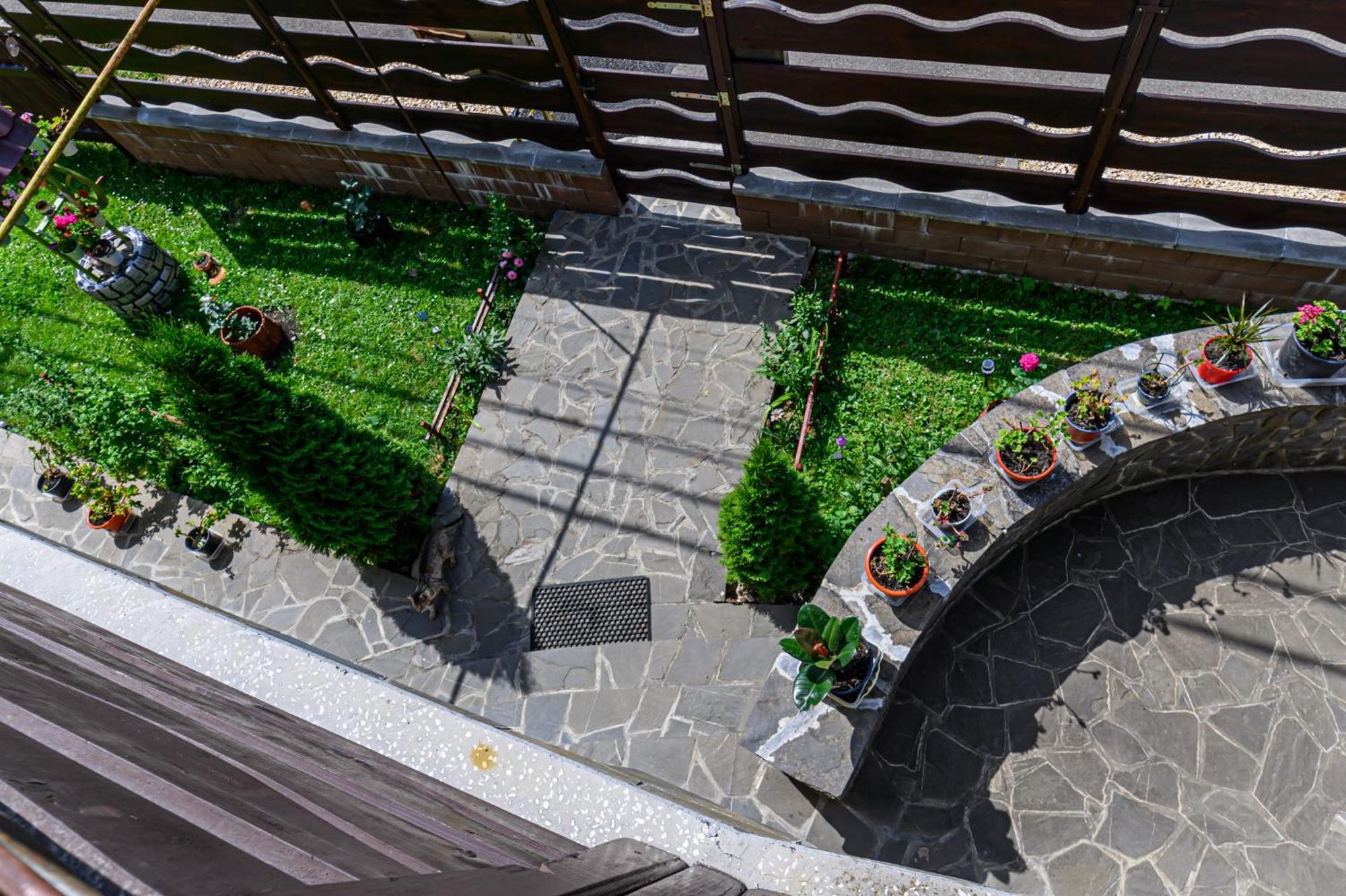 Casa Ramino Hotel Buşteni Eksteriør billede
